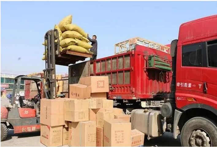 泉州到金山区物流专线